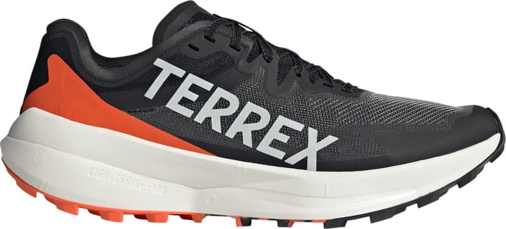 Adidas terrex agravic day one online